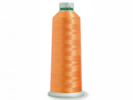 Linha de Bordado Cone PolyStitch No. 40 cor Nº5765